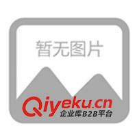 09年春夏運(yùn)動(dòng)時(shí)尚，休閑情侶裝，征全國(guó)各地批發(fā)商。